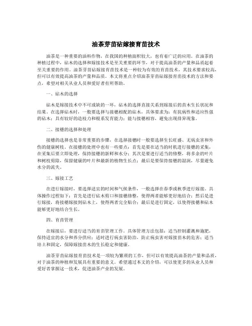 油茶芽苗砧嫁接育苗技术