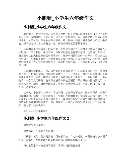 小刺猬小学生六年级作文