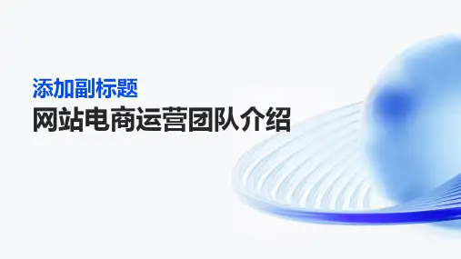 网站电商运营团队介绍