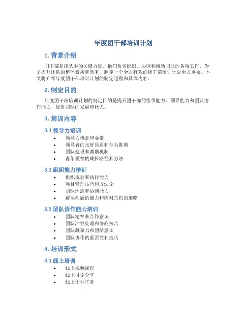 年度团干部培训计划