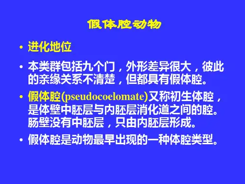 动物生物学