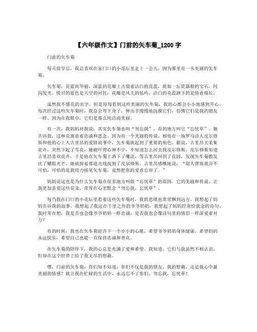 【六年级作文】门前的矢车菊_1200字