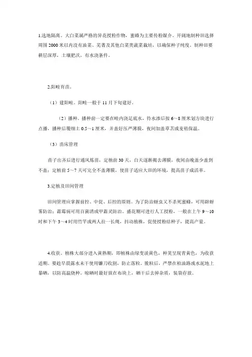 大白菜制种技术