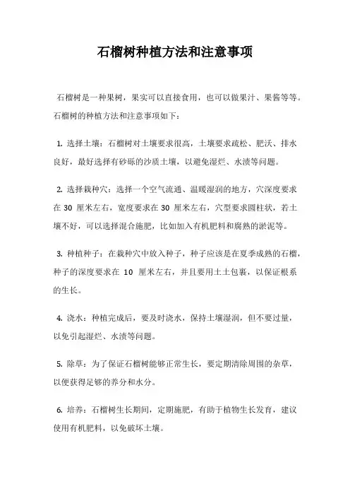 石榴树种植方法和注意事项
