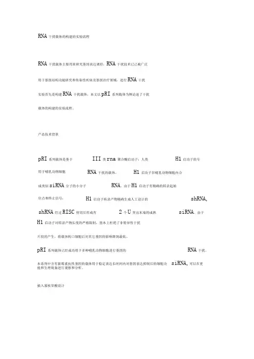 RNA干扰载体的构建的实验流程