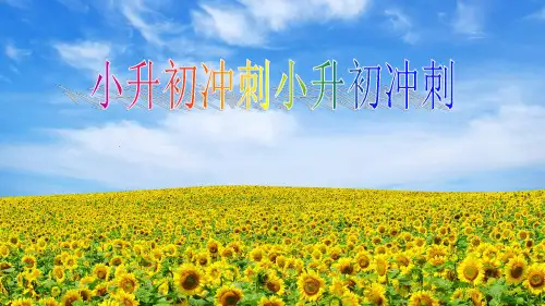 部编版语文小升初冲刺课件第5课 词语辨析课件(共16张PPT)