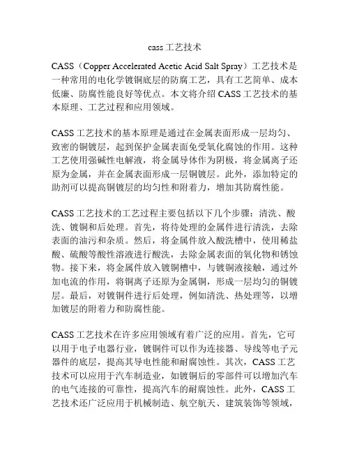 cass工艺技术