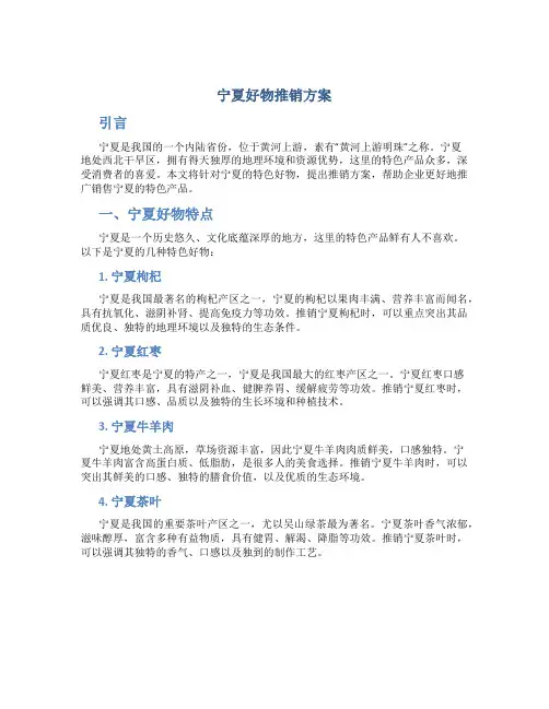 宁夏好物推销方案