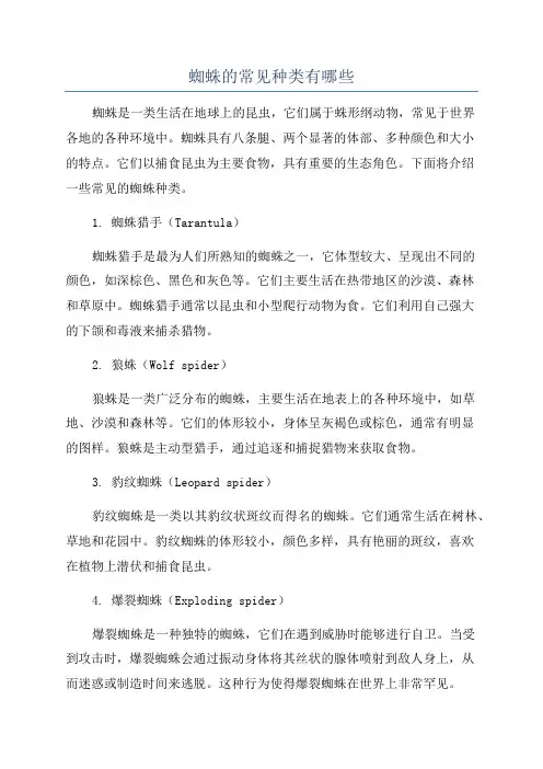 蜘蛛的常见种类有哪些