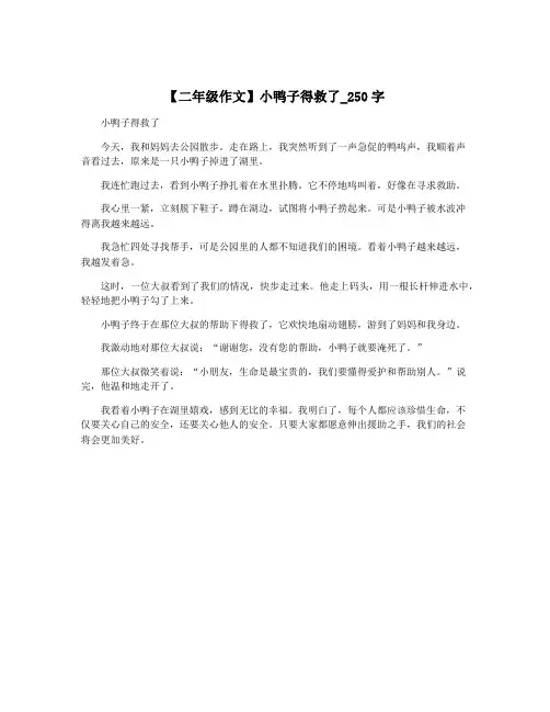 【二年级作文】小鸭子得救了_250字