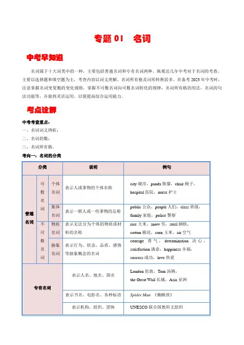 【中考英语考点详解+专项训练】专题1 名词  (原卷版)