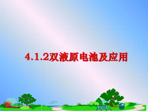 最新4.1.2双液原电池及应用