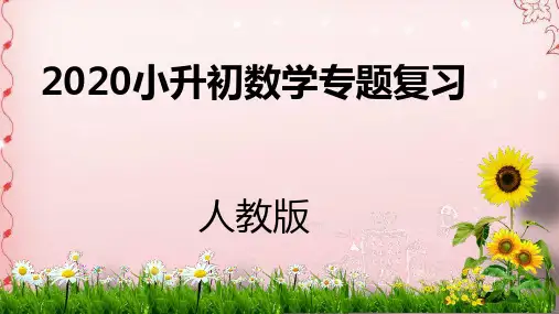 六年级下册数学课件-2020小升初专题复习：数与代数 第8课时人教新课标(2014秋) (共22张PPT)