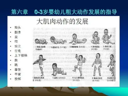 岁婴幼儿粗大动作发展的指导ppt课件