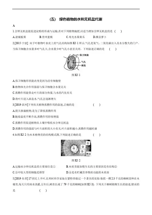中考科学总复习一轮复习课时训练生物部分(05) 绿色植物的水和无机盐代谢