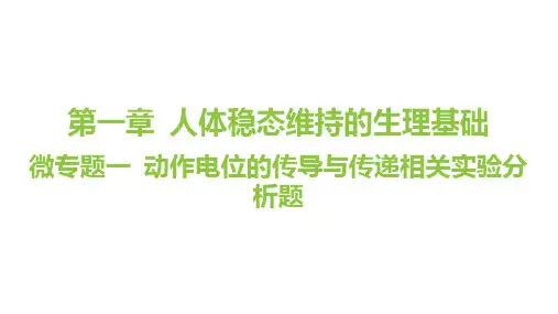 微专题一动作电位的传导与传递相关实验分析题课件高二上学期生物选择性必修1