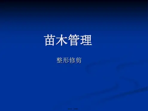 16苗木的整形修剪