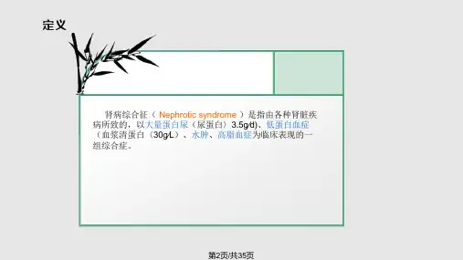 肾病综合症的护理