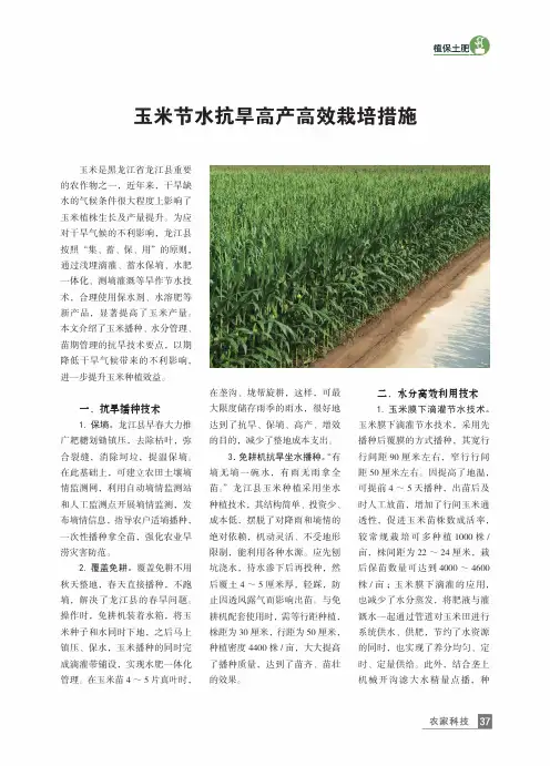 玉米节水抗旱高产高效栽培措施