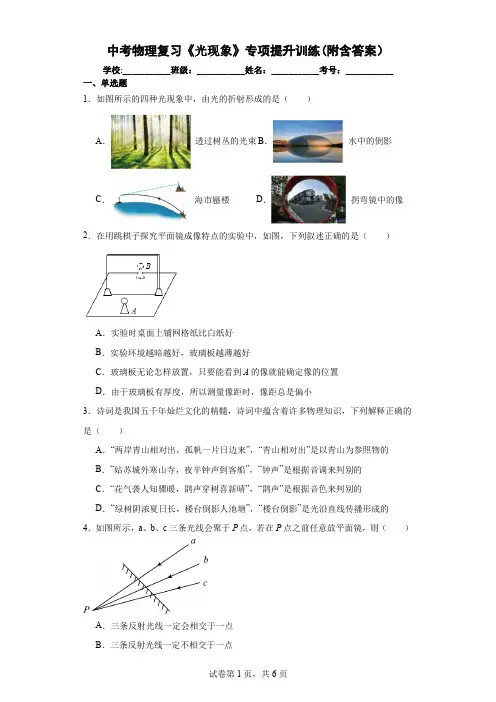 中考物理复习《光现象》专项提升训练(附含答案)