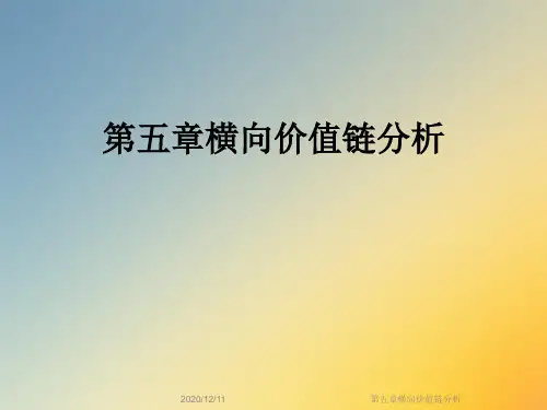 第五章横向价值链分析
