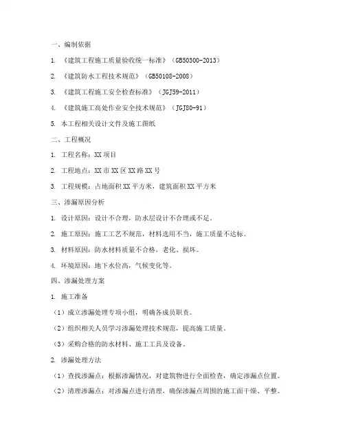 渗漏处理专项方案