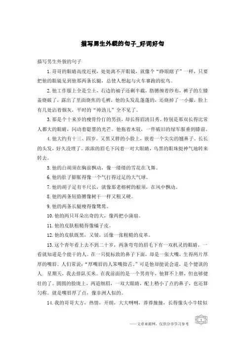 描写男生外貌的句子-好词好句