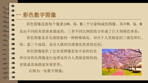矩阵在数字图像处理中的应用ppt课件.ppt