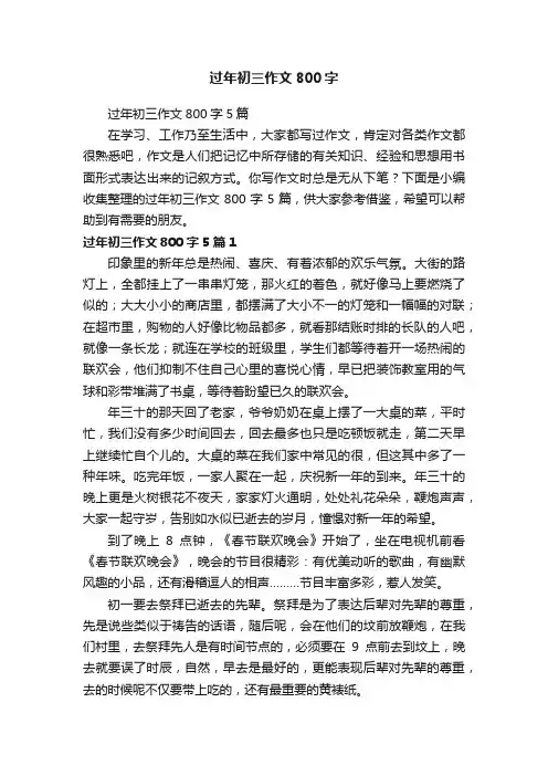 过年初三作文800字5篇