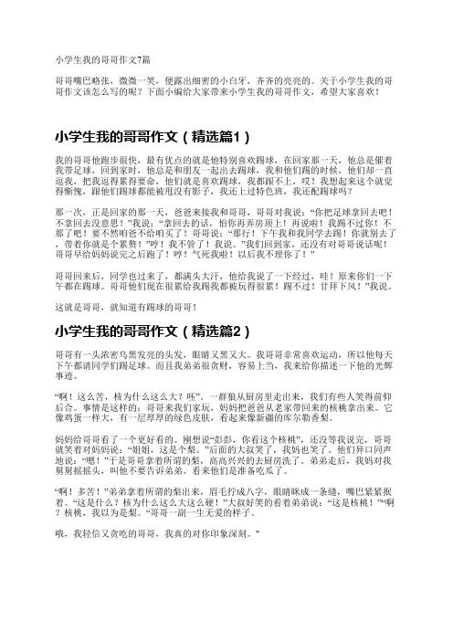 小学生我的哥哥作文7篇