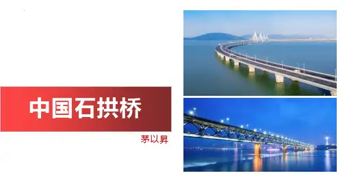 新人教部编版八年级语文上册《中国石拱桥》精品教学课件