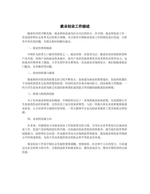 就业创业工作综述