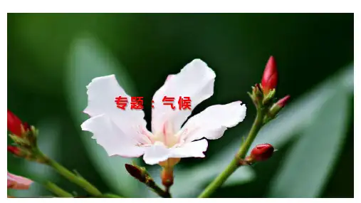 高考地理二轮专题复习-课件-气候