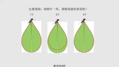 人教版三年级上册周长的认识PPT课件