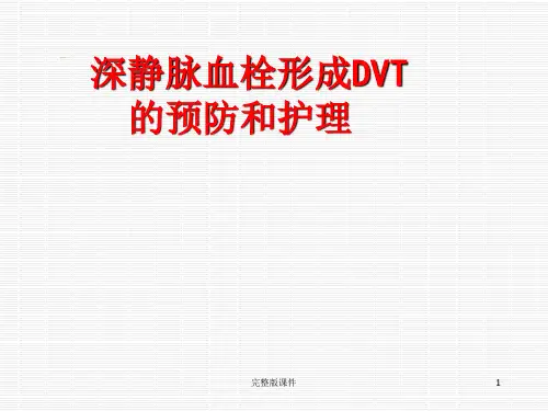 静脉血栓的预防及护理ppt课件
