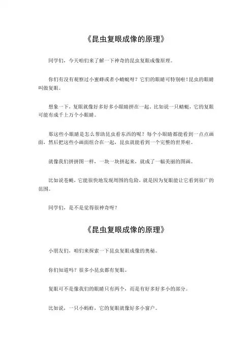 昆虫复眼成像的原理