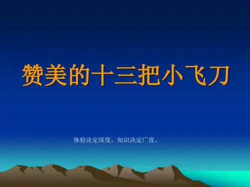 赞美的十三把小飞刀
