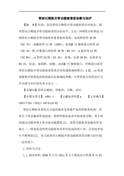 肾结石梗阻并肾功能损害的诊断与治疗论文