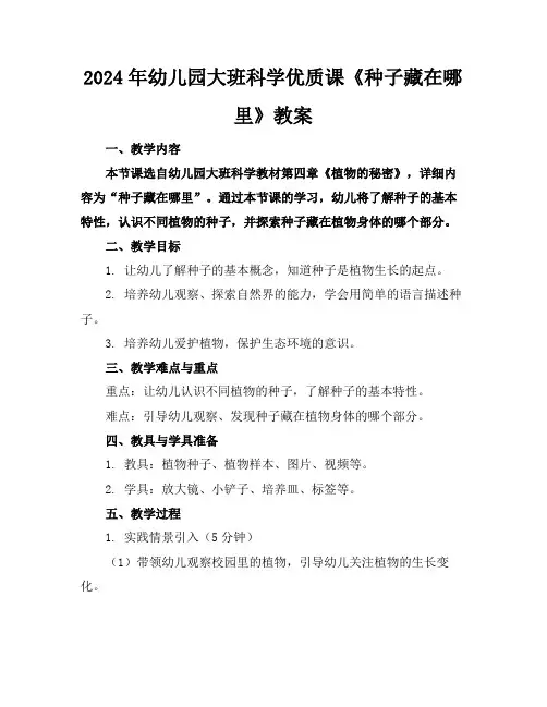 2024年幼儿园大班科学优质课《种子藏在哪里》教案