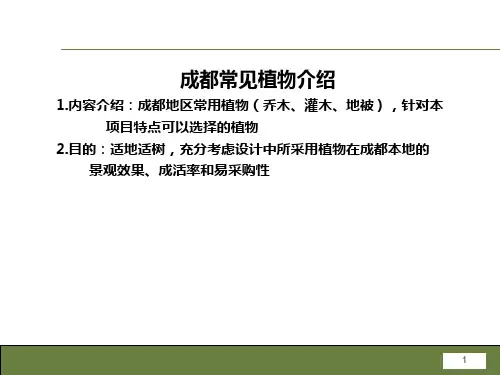 成都常见植物介绍