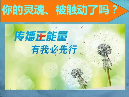 教科版高中信息技术必修第五章5.3图像的采集和加工5.32图像信息的采集与加工  课件 (1)