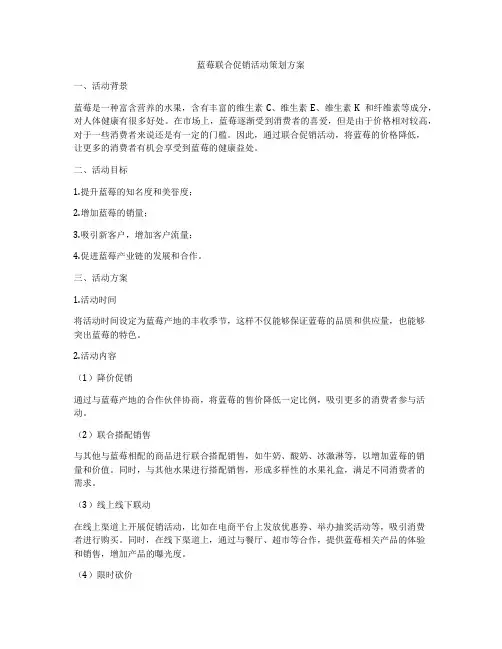 蓝莓联合促销活动策划方案