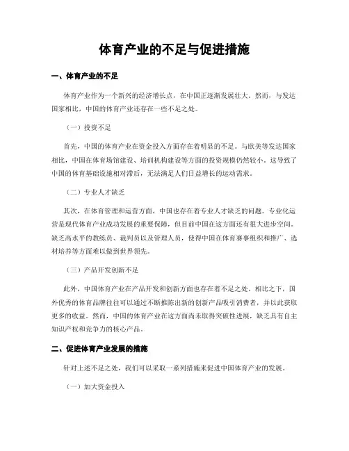 体育产业的不足与促进措施