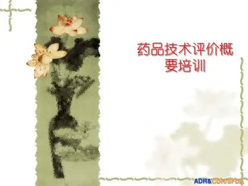 药品技术评价概要培训