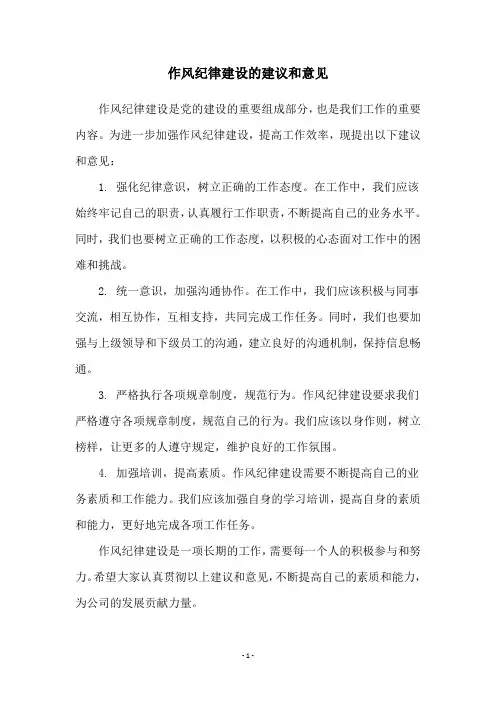 作风纪律建设的建议和意见