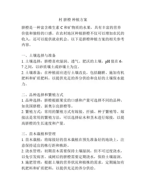 村 脐橙 种植方案