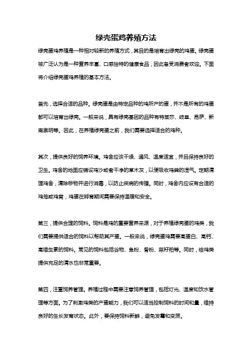 绿壳蛋鸡养殖方法