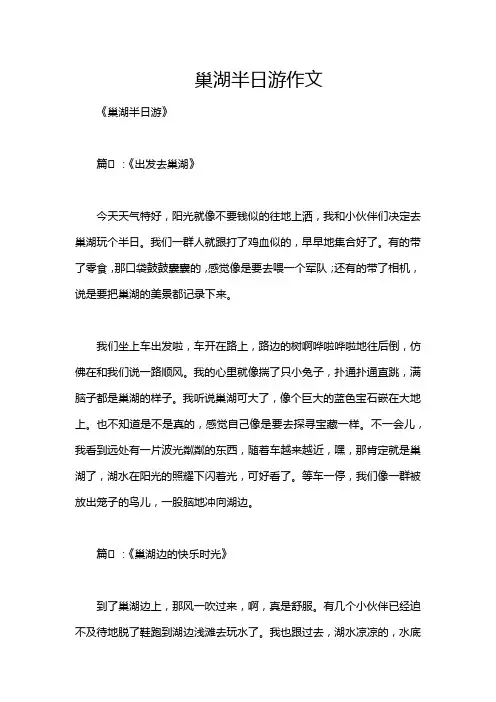 巢湖半日游作文