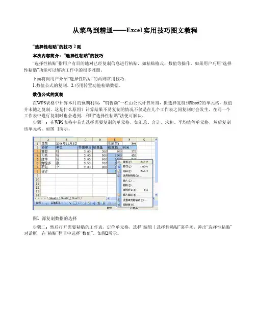 从菜鸟到精通——Excel实用技巧图文教程