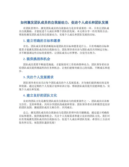 如何激发团队成员的自我驱动力,促进个人成长和团队发展